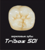 Зубы Tribos 501 Yeti, Германия